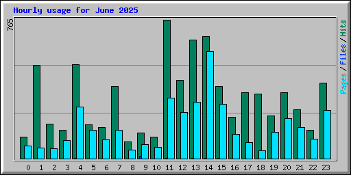 Hourly usage for June 2025