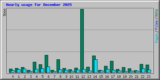 Hourly usage for December 2025